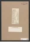 Donkinia antigua Grove et Sturt. (de-Toni-Nr.: Genus 17, Species 1154) Zeichnungen Sammlung Grunow Nr. 2248 (NHMW-BOT-W0369348)